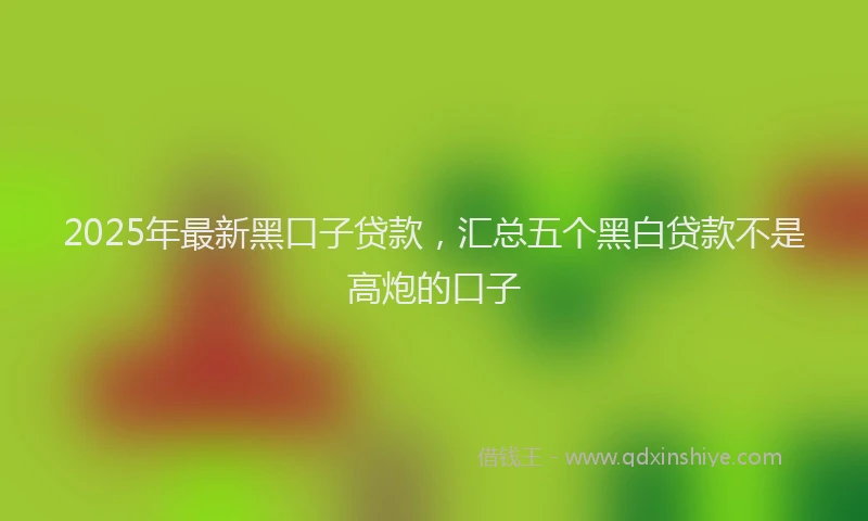 2025年最新黑口子贷款，汇总五个黑白贷款不是高炮的口子