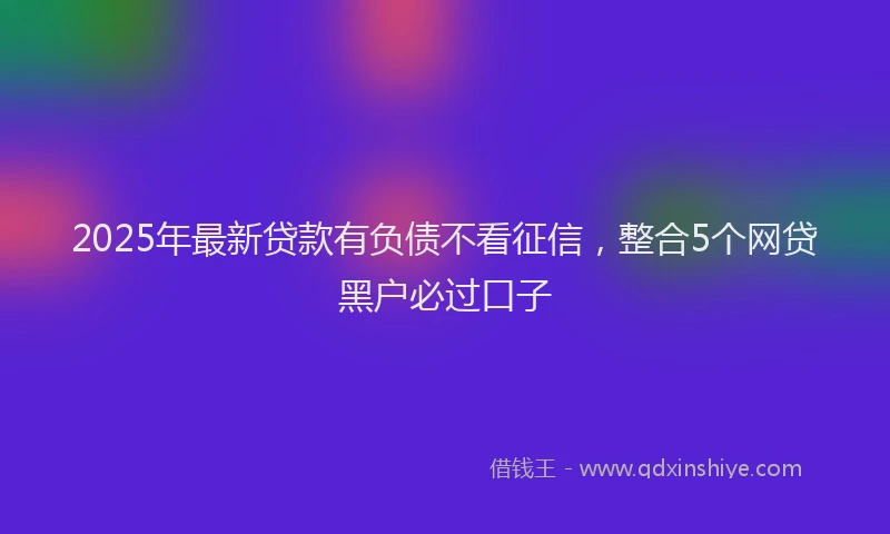 2025年最新贷款有负债不看征信，整合5个网贷黑户必过口子