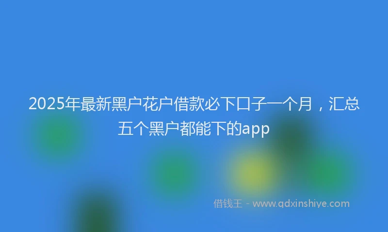 2025年最新黑户花户借款必下口子一个月，汇总五个黑户都能下的app