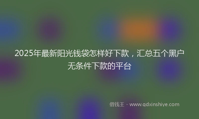 2025年最新阳光钱袋怎样好下款，汇总五个黑户无条件下款的平台
