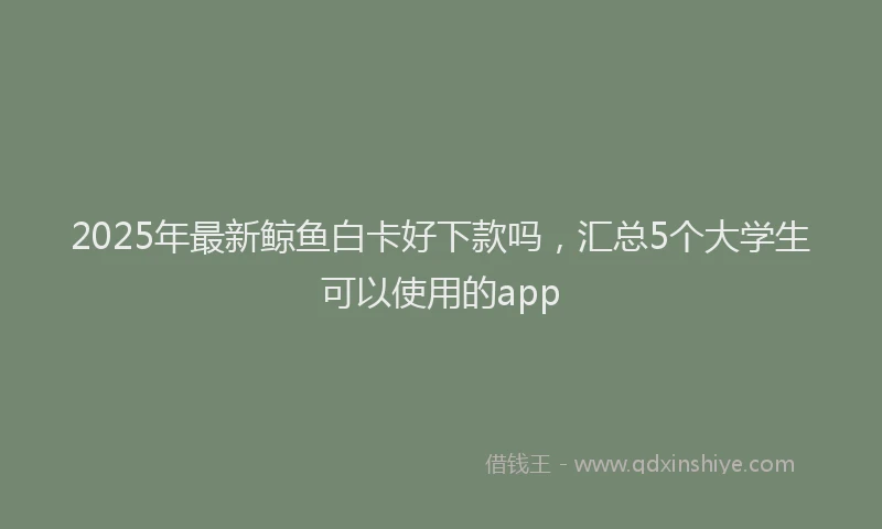 2025年最新鲸鱼白卡好下款吗，汇总5个大学生可以使用的app