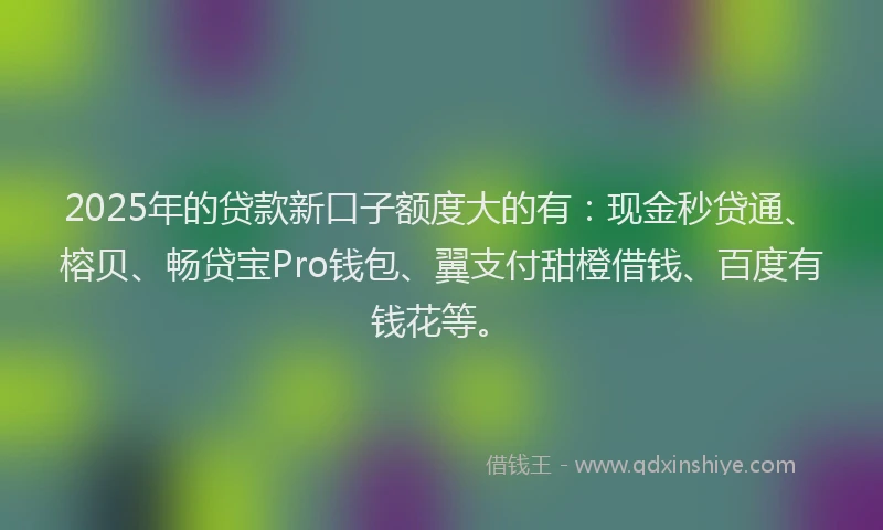2025年的贷款新口子额度大的有：现金秒贷通、榕贝、畅贷宝Pro钱包、翼支付甜橙借钱、百度有钱花等。