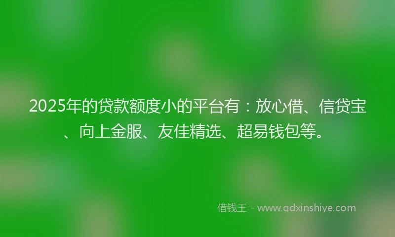 2025年的贷款额度小的平台有：放心借、信贷宝、向上金服、友佳精选、超易钱包等。