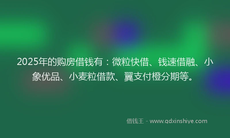 2025年的购房借钱有：微粒快借、钱速借融、小象优品、小麦粒借款、翼支付橙分期等。