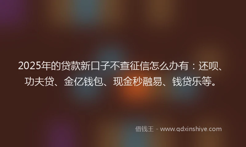 2025年的贷款新口子不查征信怎么办有：还呗、功夫贷、金亿钱包、现金秒融易、钱贷乐等。