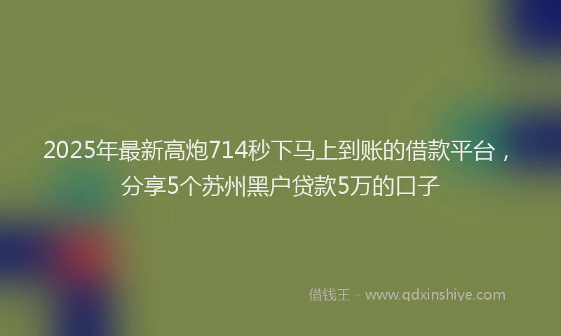 2025年最新高炮714秒下马上到账的借款平台，分享5个苏州黑户贷款5万的口子