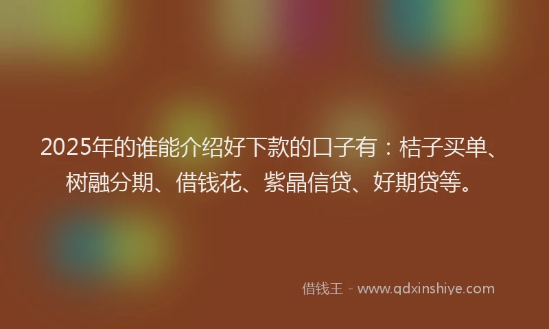 2025年的谁能介绍好下款的口子有：桔子买单、树融分期、借钱花、紫晶信贷、好期贷等。