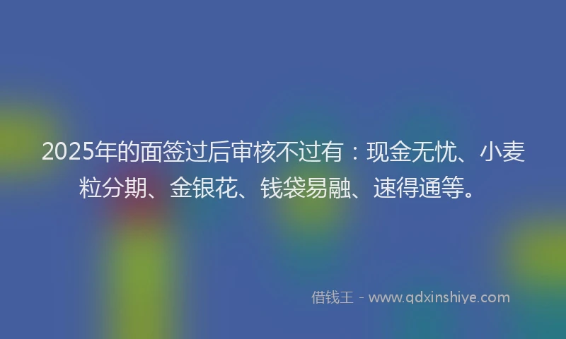 2025年的面签过后审核不过有：现金无忧、小麦粒分期、金银花、钱袋易融、速得通等。