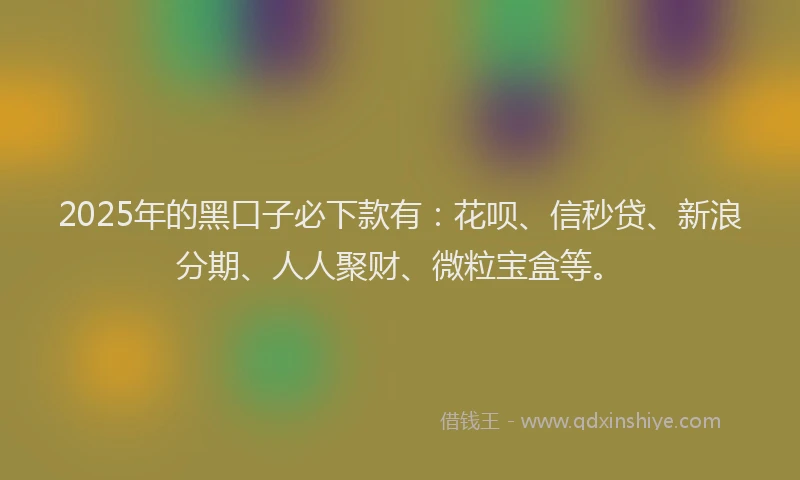 2025年的黑口子必下款有：花呗、信秒贷、新浪分期、人人聚财、微粒宝盒等。