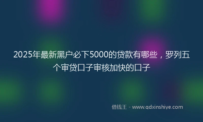 2025年最新黑户必下5000的贷款有哪些，罗列五个审贷口子审核加快的口子
