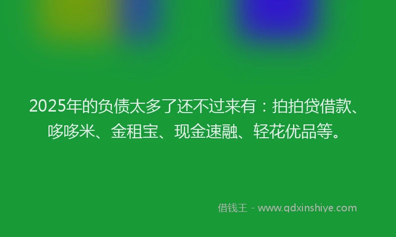 2025年的负债太多了还不过来有：拍拍贷借款、哆哆米、金租宝、现金速融、轻花优品等。