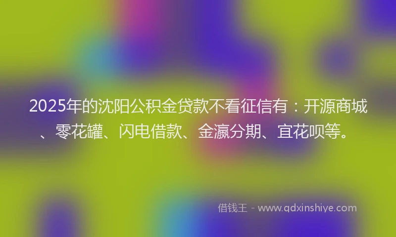 2025年的沈阳公积金贷款不看征信有：开源商城、零花罐、闪电借款、金瀛分期、宜花呗等。