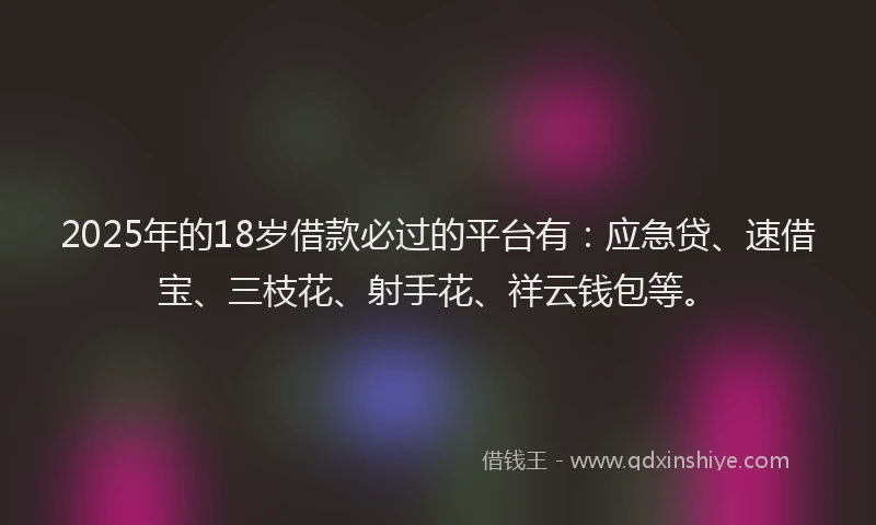 2025年的18岁借款必过的平台有：应急贷、速借宝、三枝花、射手花、祥云钱包等。