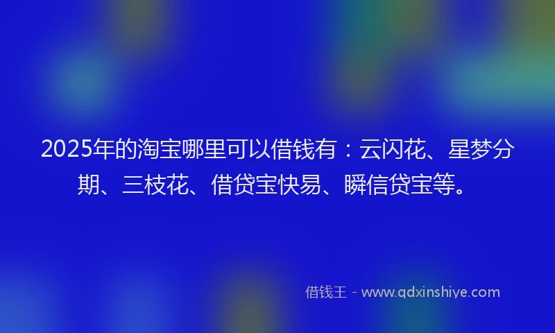 2025年的淘宝哪里可以借钱有：云闪花、星梦分期、三枝花、借贷宝快易、瞬信贷宝等。