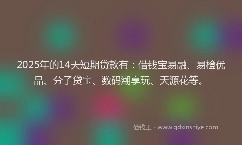 2025年的14天短期贷款有：借钱宝易融、易橙优品、分子贷宝、数码潮享玩、天源花等。
