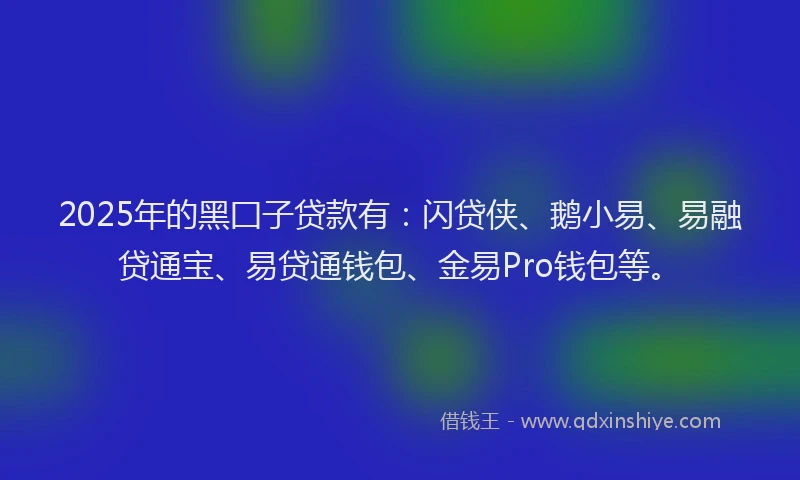 2025年的黑囗子贷款有：闪贷侠、鹅小易、易融贷通宝、易贷通钱包、金易Pro钱包等。