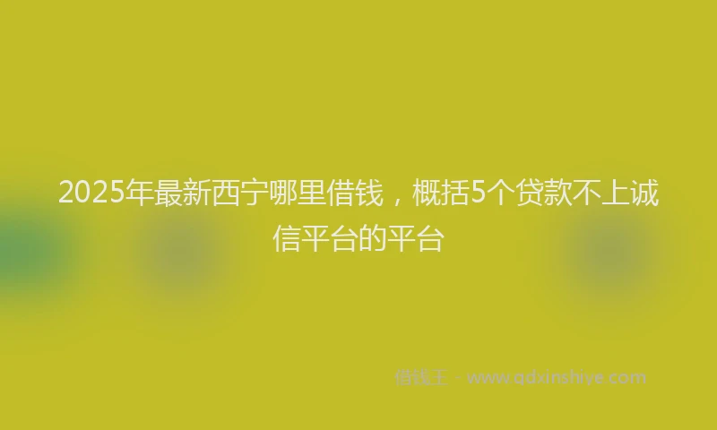 2025年最新西宁哪里借钱，概括5个贷款不上诚信平台的平台