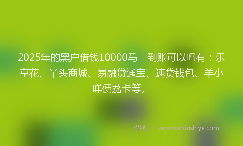 2025年的黑户借钱10000马上到账可以吗有：乐享花、丫头商城、易融贷通宝、速贷钱包、羊小咩便荔卡等。