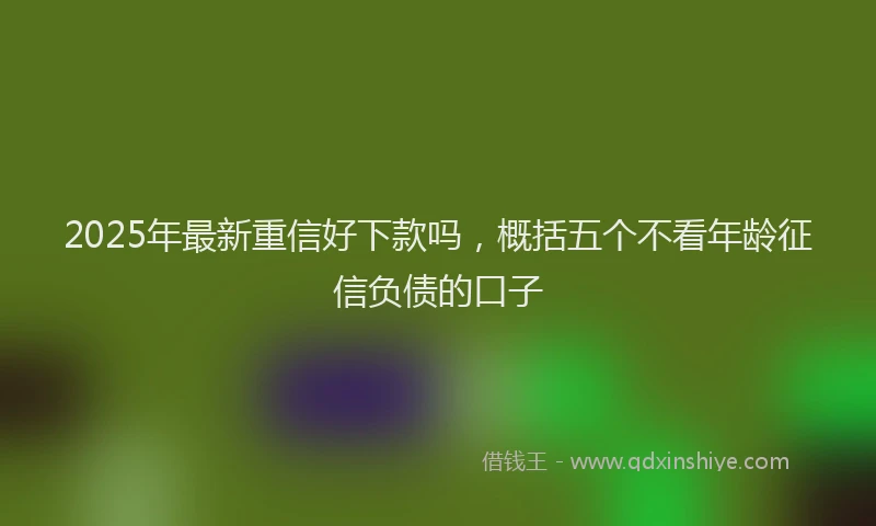 2025年最新重信好下款吗，概括五个不看年龄征信负债的口子