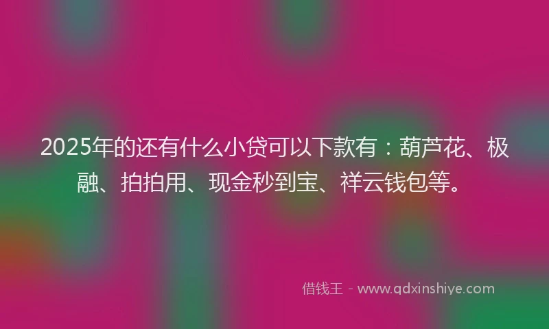 2025年的还有什么小贷可以下款有：葫芦花、极融、拍拍用、现金秒到宝、祥云钱包等。