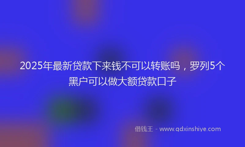 2025年最新贷款下来钱不可以转账吗，罗列5个黑户可以做大额贷款口子