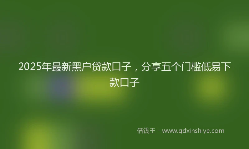 2025年最新黑户贷款口子，分享五个门槛低易下款口子