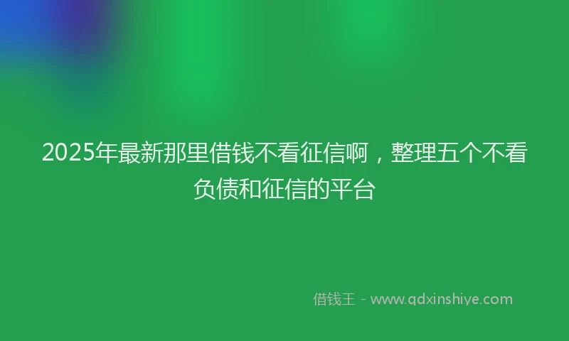 2025年最新那里借钱不看征信啊，整理五个不看负债和征信的平台