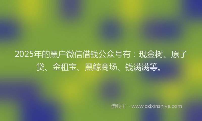 2025年的黑户微信借钱公众号有：现金树、原子贷、金租宝、黑鲸商场、钱满满等。