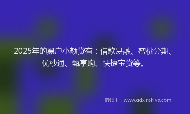 2025年的黑户小额贷有：借款易融、蜜桃分期、优秒通、甄享购、快捷宝贷等。