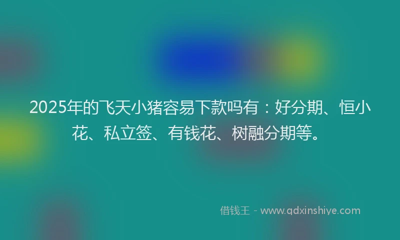 2025年的飞天小猪容易下款吗有：好分期、恒小花、私立签、有钱花、树融分期等。