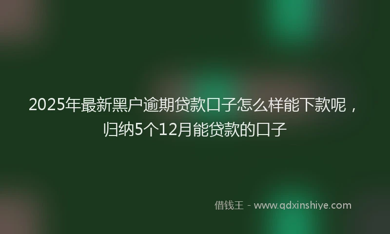 2025年最新黑户逾期贷款口子怎么样能下款呢，归纳5个12月能贷款的口子