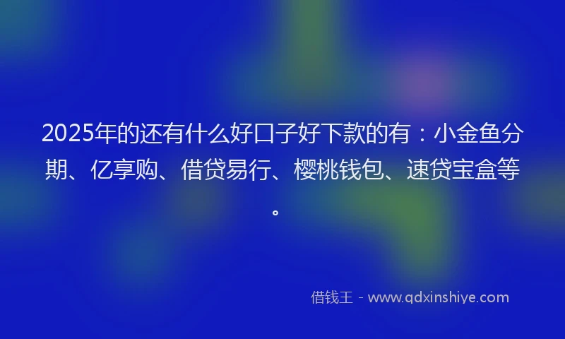 2025年的还有什么好口子好下款的有：小金鱼分期、亿享购、借贷易行、樱桃钱包、速贷宝盒等。