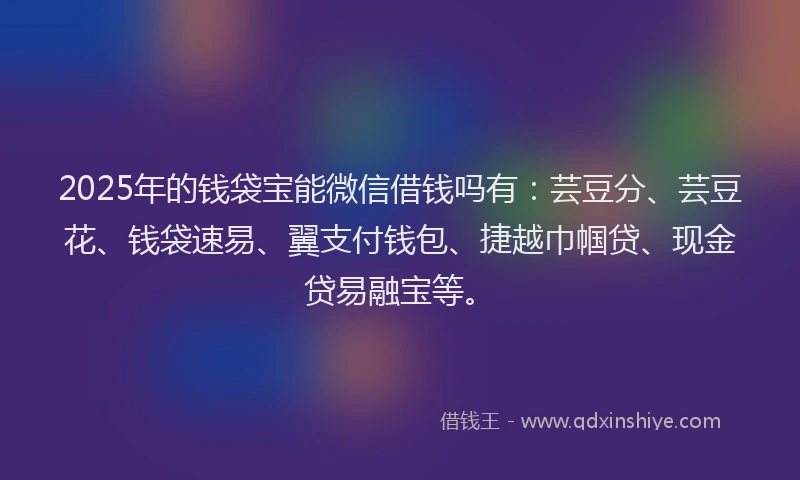 2025年的钱袋宝能微信借钱吗有：芸豆分、芸豆花、钱袋速易、翼支付钱包、捷越巾帼贷、现金贷易融宝等。