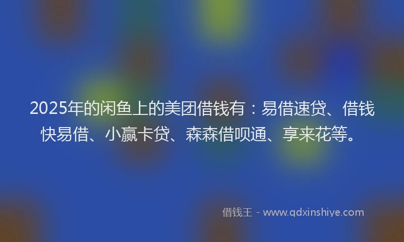 2025年的闲鱼上的美团借钱有：易借速贷、借钱快易借、小赢卡贷、森森借呗通、享来花等。