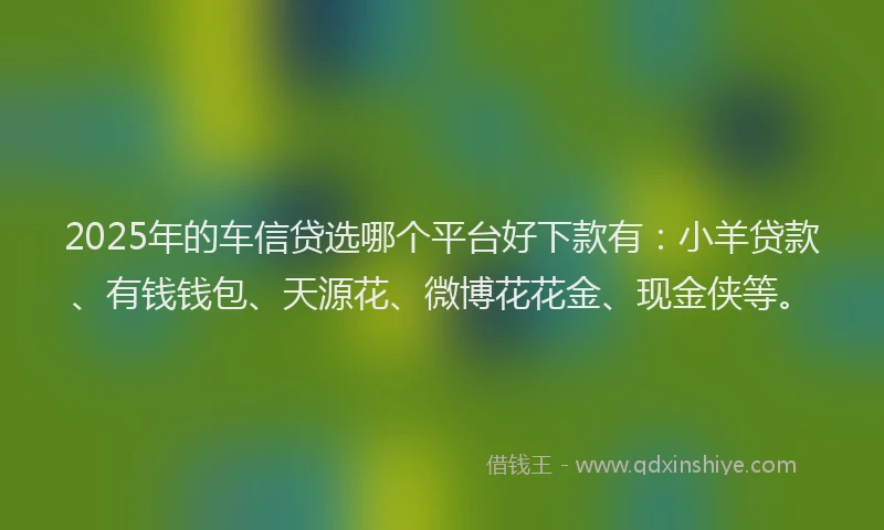 2025年的车信贷选哪个平台好下款有：小羊贷款、有钱钱包、天源花、微博花花金、现金侠等。