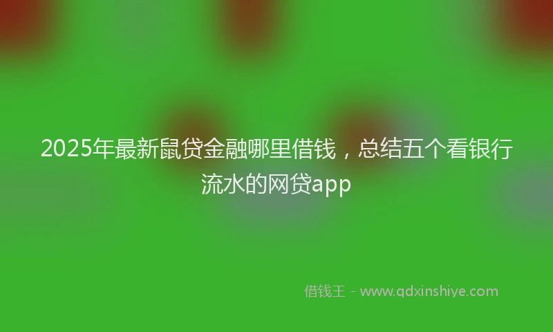 2025年最新鼠贷金融哪里借钱，总结五个看银行流水的网贷app