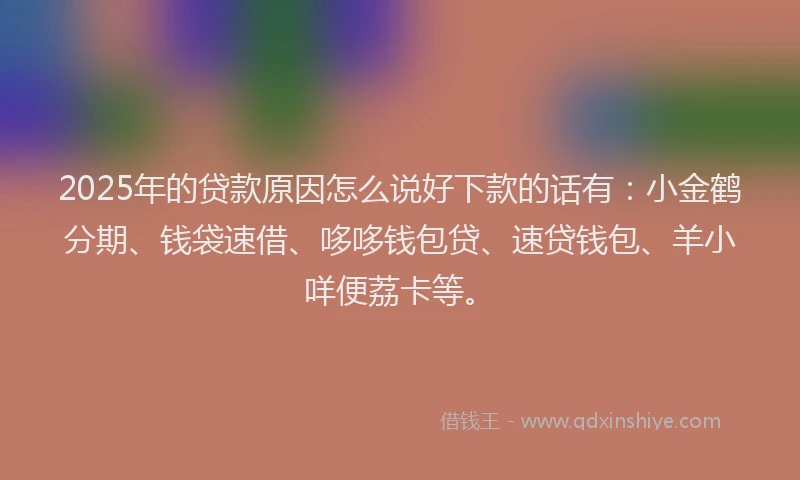 2025年的贷款原因怎么说好下款的话有：小金鹤分期、钱袋速借、哆哆钱包贷、速贷钱包、羊小咩便荔卡等。