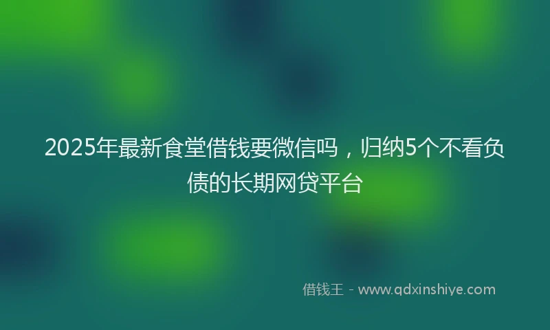 2025年最新食堂借钱要微信吗，归纳5个不看负债的长期网贷平台