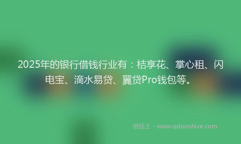2025年的银行借钱行业有：桔享花、掌心租、闪电宝、滴水易贷、翼贷Pro钱包等。