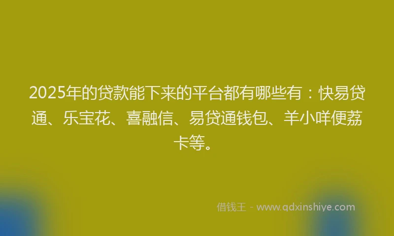 2025年的贷款能下来的平台都有哪些有：快易贷通、乐宝花、喜融信、易贷通钱包、羊小咩便荔卡等。