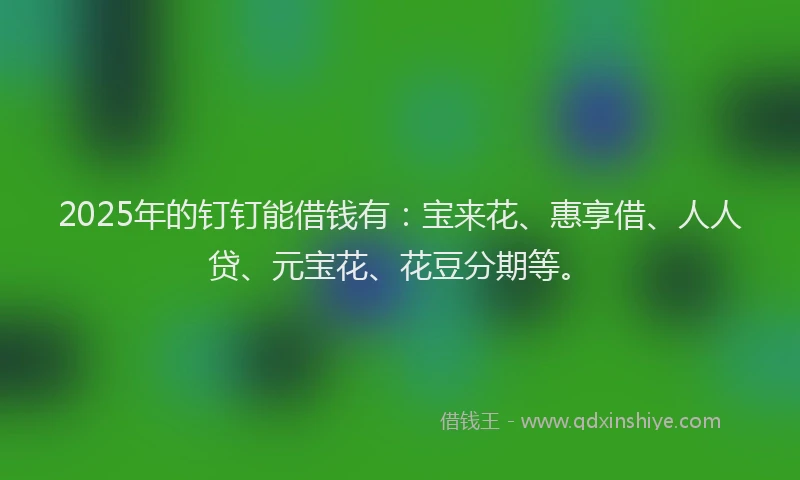 2025年的钉钉能借钱有：宝来花、惠享借、人人贷、元宝花、花豆分期等。