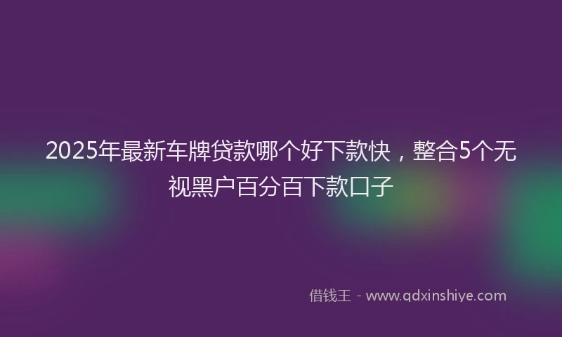 2025年最新车牌贷款哪个好下款快，整合5个无视黑户百分百下款口子