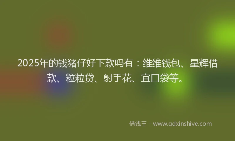 2025年的钱猪仔好下款吗有：维维钱包、星辉借款、粒粒贷、射手花、宜口袋等。