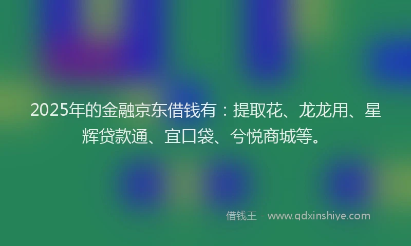 2025年的金融京东借钱有：提取花、龙龙用、星辉贷款通、宜口袋、兮悦商城等。
