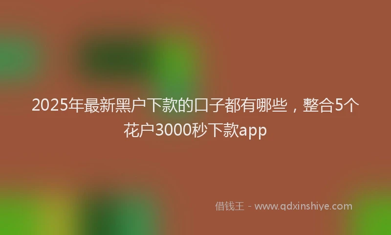 2025年最新黑户下款的口子都有哪些，整合5个花户3000秒下款app