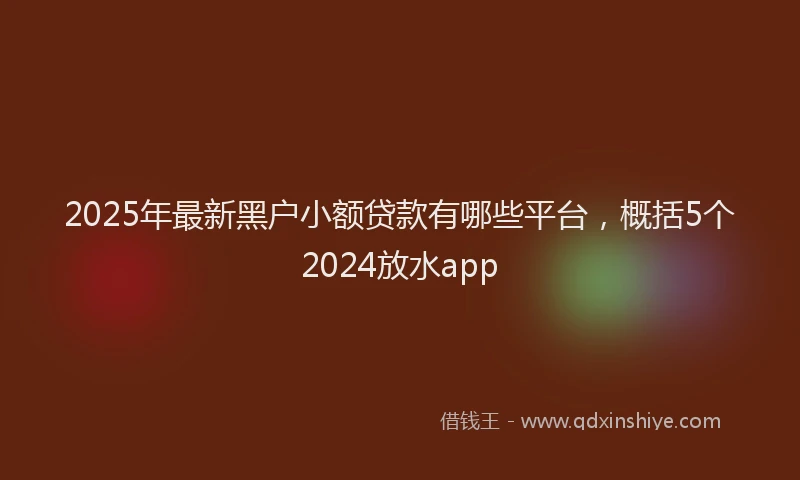 2025年最新黑户小额贷款有哪些平台，概括5个2024放水app