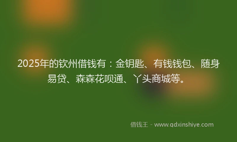 2025年的钦州借钱有：金钥匙、有钱钱包、随身易贷、森森花呗通、丫头商城等。