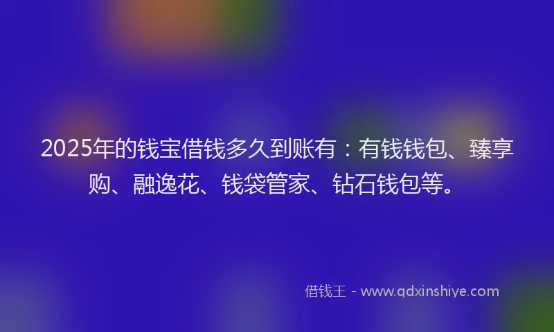 2025年的钱宝借钱多久到账有：有钱钱包、臻享购、融逸花、钱袋管家、钻石钱包等。