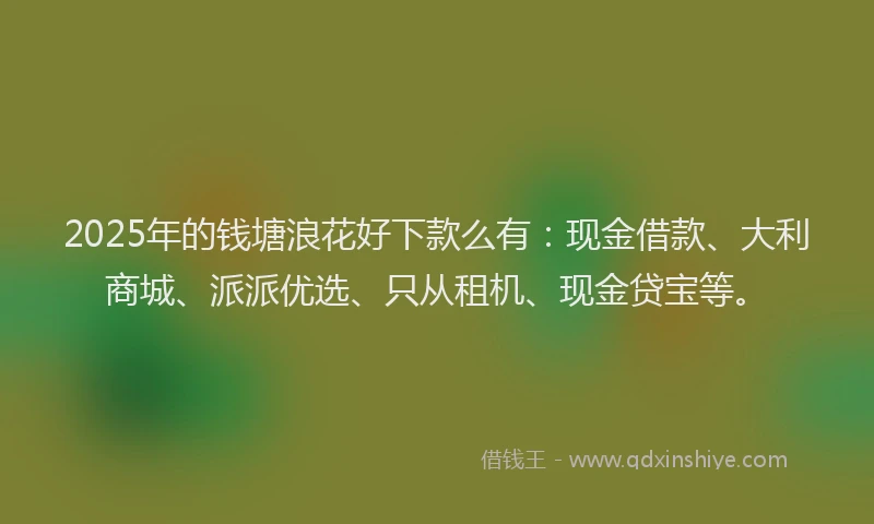 2025年的钱塘浪花好下款么有：现金借款、大利商城、派派优选、只从租机、现金贷宝等。