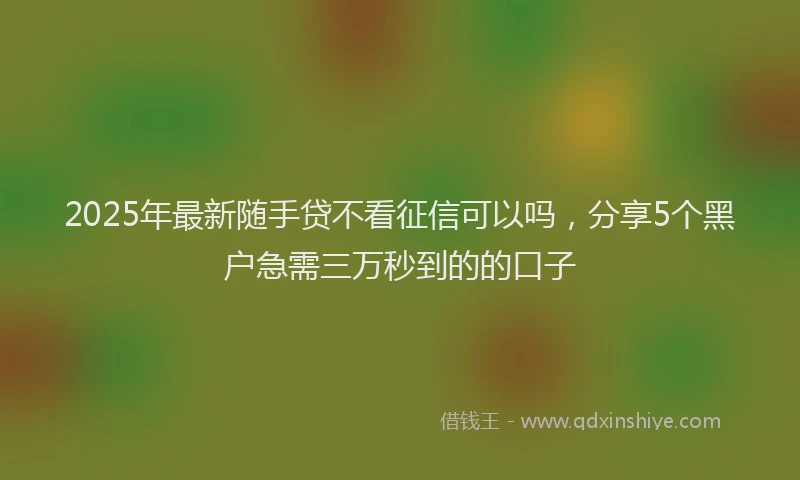 2025年最新随手贷不看征信可以吗，分享5个黑户急需三万秒到的的口子